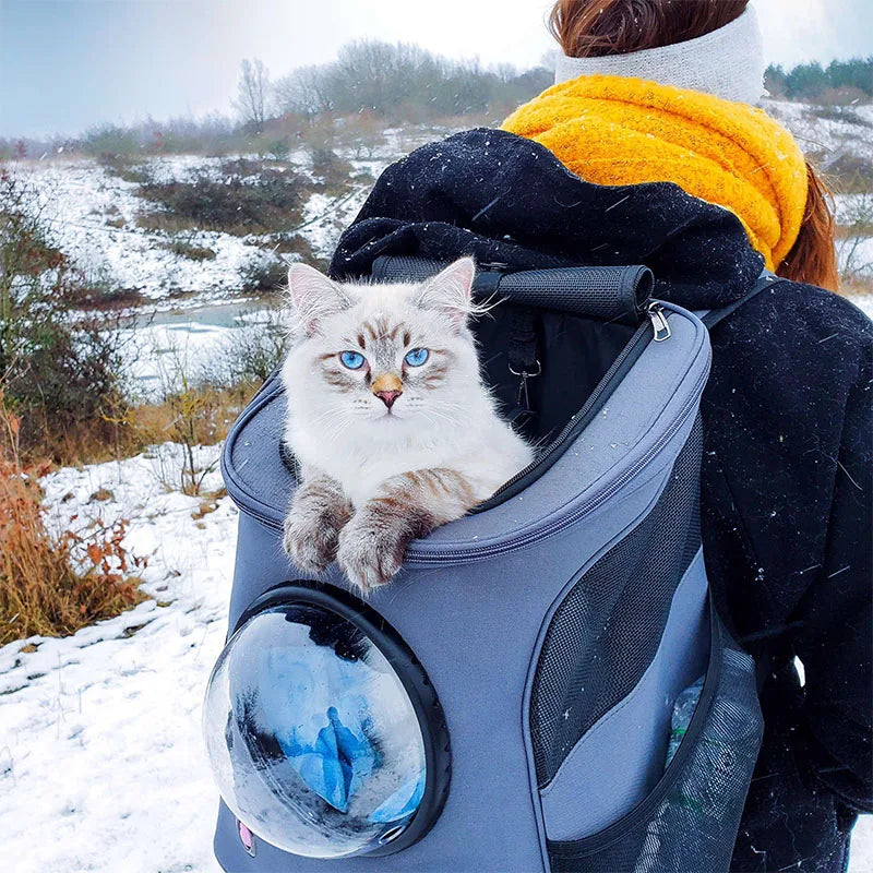 Sac à Dos pour Animaux avec Bulle - L'atelier du sac à dos